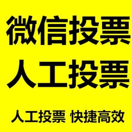 连云港市微信刷票怎么投票